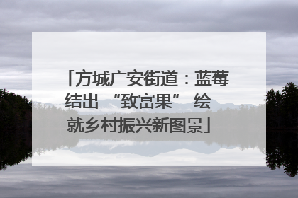 方城广安街道：蓝莓结出 “致富果” 绘就乡村振兴新图景