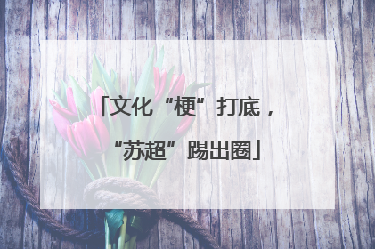 文化“梗”打底，“苏超”踢出圈