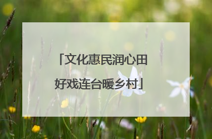 文化惠民润心田 好戏连台暖乡村