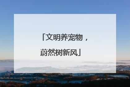 文明养宠物,蔚然树新风