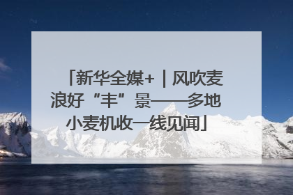 新华全媒+｜风吹麦浪好“丰”景——多地小麦机收一线见闻