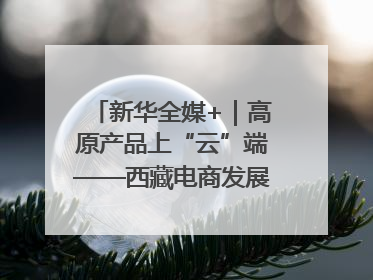 新华全媒+｜高原产品上“云”端——西藏电商发展一线观察