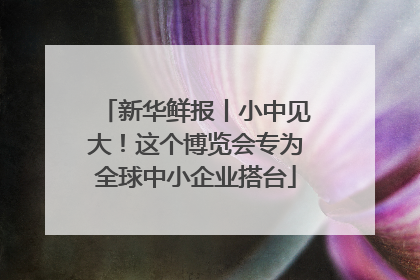 新华鲜报丨小中见大！这个博览会专为全球中小企业搭台