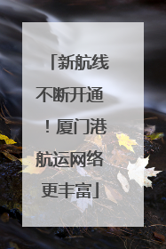 新航线不断开通！厦门港航运网络更丰富