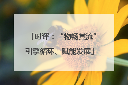 时评：“物畅其流”引擎循环、赋能发展
