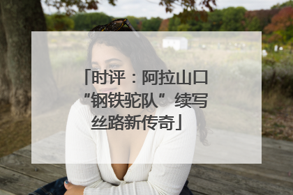 时评：阿拉山口“钢铁驼队”续写丝路新传奇