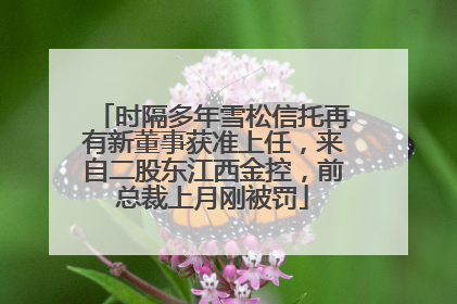 时隔多年雪松信托再有新董事获准上任，来自二股东江西金控，前总裁上月刚被罚
