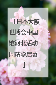 日本大阪世博会中国馆河北活动周精彩启幕