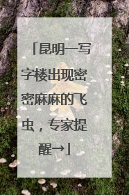 昆明一写字楼出现密密麻麻的飞虫，专家提醒→