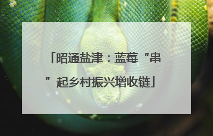 昭通盐津：蓝莓“串”起乡村振兴增收链