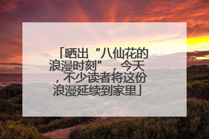 晒出“八仙花的浪漫时刻”，今天，不少读者将这份浪漫延续到家里