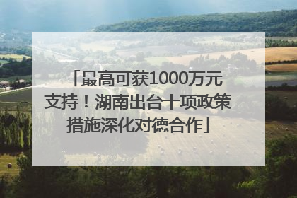 最高可获1000万元支持！湖南出台十项政策措施深化对德合作