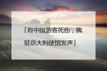 有中国游客死伤，我驻意大利使馆发声