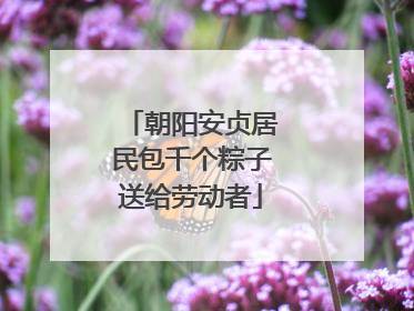 朝阳安贞居民包千个粽子送给劳动者