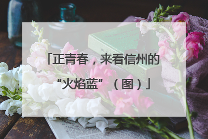 正青春，来看信州的“火焰蓝”（图）