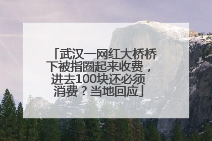 武汉一网红大桥桥下被指圈起来收费，进去100块还必须消费？当地回应