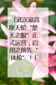 武汉最高摩天轮“楚天之眼”正式运营，启用之前先“体检”！