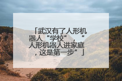 武汉有了人形机器人“学校”，“人形机器人进家庭，这是第一步”