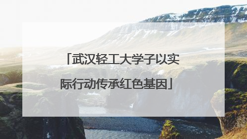 武汉轻工大学子以实际行动传承红色基因