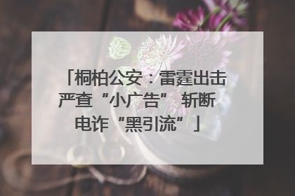 桐柏公安：雷霆出击严查“小广告” 斩断电诈“黑引流”