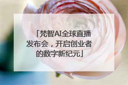 梵智AI全球直播发布会，开启创业者的数字新纪元