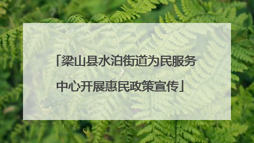 梁山县水泊街道为民服务中心开展惠民政策宣传