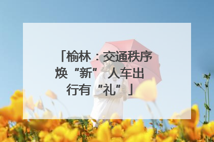 榆林：交通秩序焕“新” 人车出行有“礼”