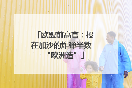 欧盟前高官：投在加沙的炸弹半数“欧洲造”