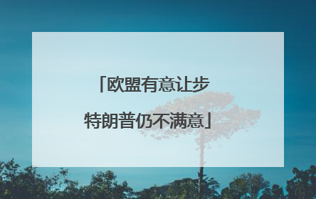 欧盟有意让步 特朗普仍不满意
