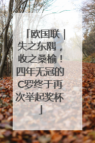 欧国联｜失之东隅，收之桑榆！四年无冠的C罗终于再次举起奖杯