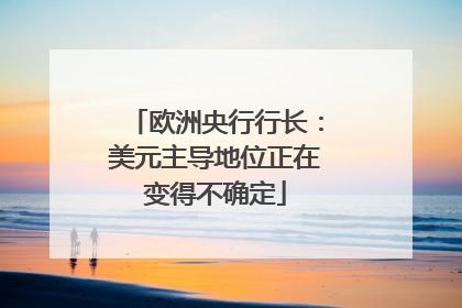 欧洲央行行长：美元主导地位正在变得不确定