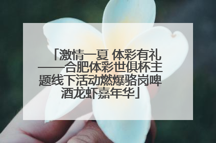 激情一夏 体彩有礼——合肥体彩世俱杯主题线下活动燃爆骆岗啤酒龙虾嘉年华