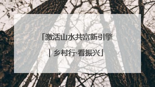 激活山水共富新引擎｜乡村行·看振兴