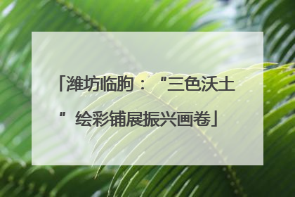 潍坊临朐：“三色沃土”绘彩铺展振兴画卷