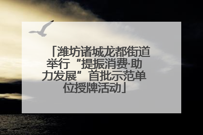 潍坊诸城龙都街道举行“提振消费·助力发展”首批示范单位授牌活动