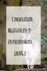 潍宿高铁临沂段首个连续梁成功浇筑