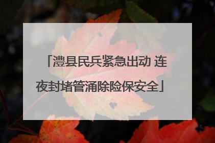 澧县民兵紧急出动 连夜封堵管涌除险保安全