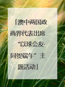 澳中两国政商界代表出席“以球会友·同贺端午”主题活动