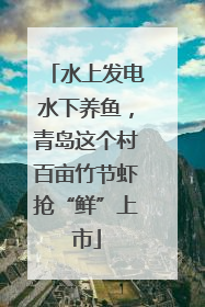 水上发电水下养鱼，青岛这个村百亩竹节虾抢“鲜”上市