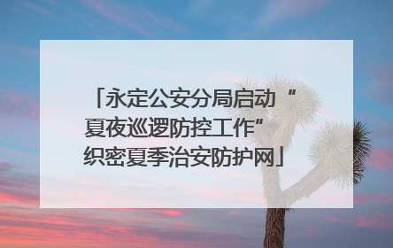 永定公安分局启动“夏夜巡逻防控工作” 织密夏季治安防护网