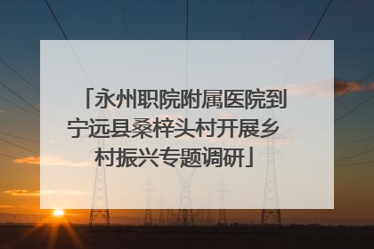永州职院附属医院到宁远县桑梓头村开展乡村振兴专题调研