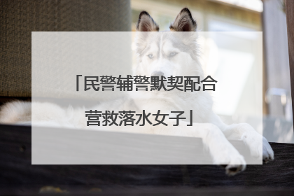 民警辅警默契配合 营救落水女子