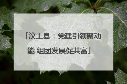 汶上县：党建引领聚动能 组团发展促共富