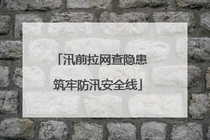 汛前拉网查隐患 筑牢防汛安全线