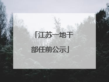 江苏一地干部任前公示