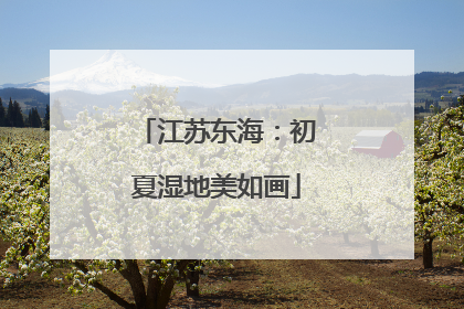 江苏东海：初夏湿地美如画