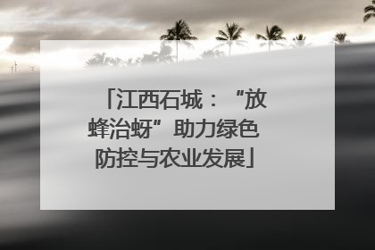 江西石城：“放蜂治蚜”助力绿色防控与农业发展
