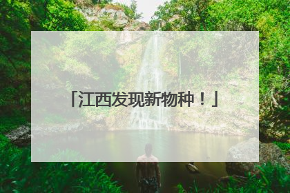 江西发现新物种！