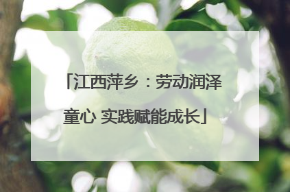 江西萍乡：劳动润泽童心 实践赋能成长