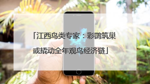 江西鸟类专家：彩鹮筑巢或撬动全年观鸟经济链